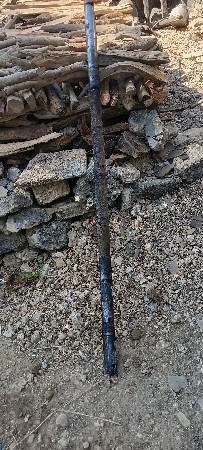 ગીર સોમનાથ