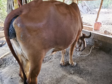 थंबनेल 3