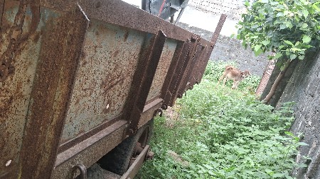 थंबनेल 5