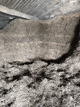 જૂનું ગયા વર્ષ નું