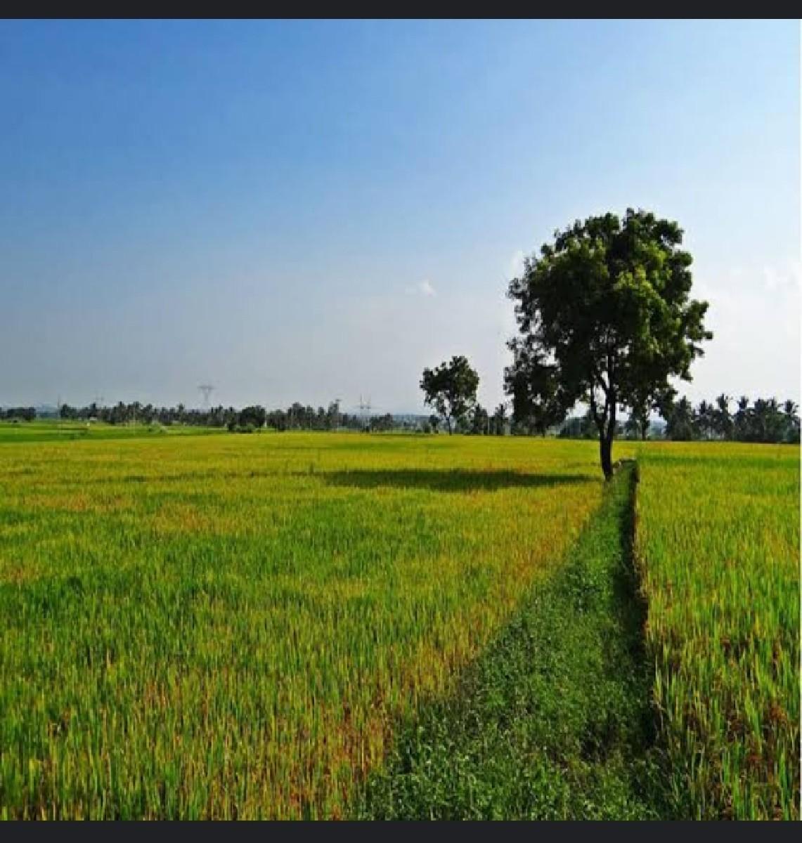 જમીન લે વેચ