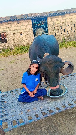 थंबनेल 3