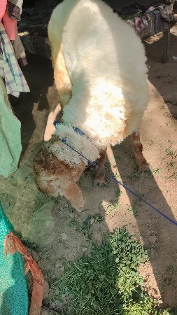 થંબનેલ 3