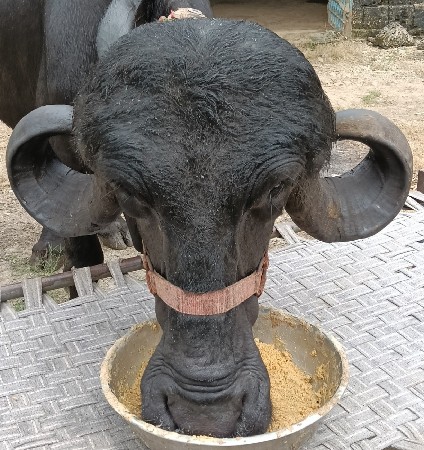 ખડાઈ વેચવાની છે