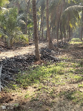 ડ્રીપ ના પાઇપ