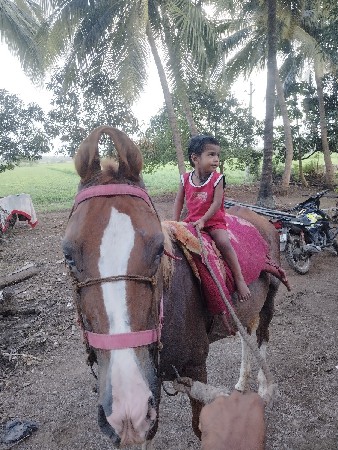 થંબનેલ 3