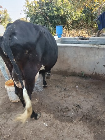 थंबनेल 2