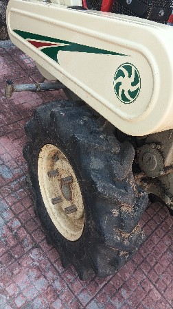 શિંગડા વારું vst દેવાનું છે