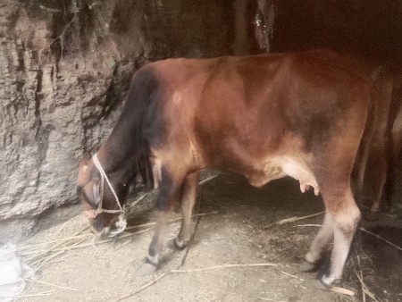 थंबनेल 1