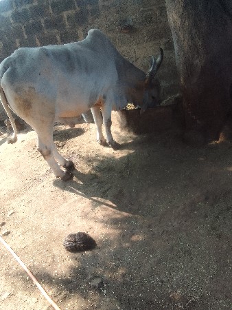 થંબનેલ 3