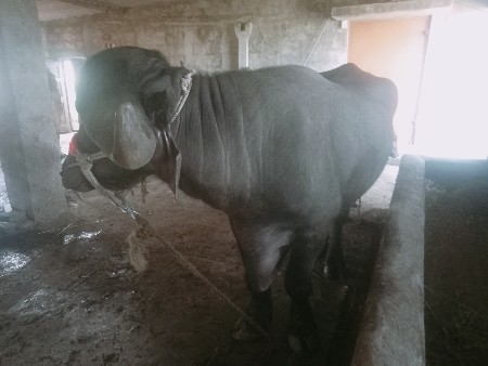 थंबनेल 2