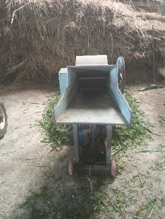 થંબનેલ 2