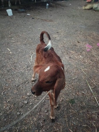 થંબનેલ 3