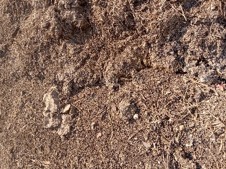 છાણિયું   ખાતર વેચવાનુ છે