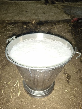 थंबनेल 6