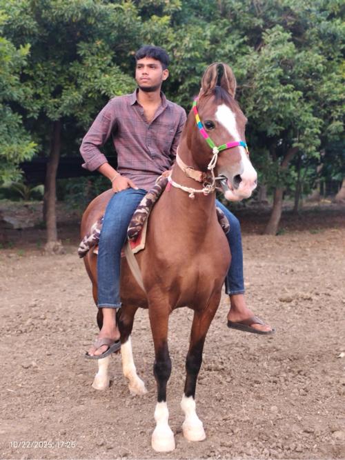 थंबनेल 3