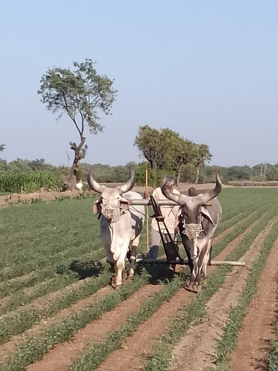 વેચવાના છે.