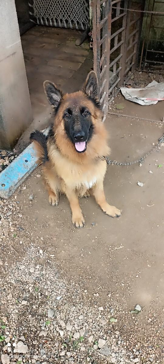 થંબનેલ 3