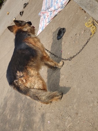 थंबनेल 2