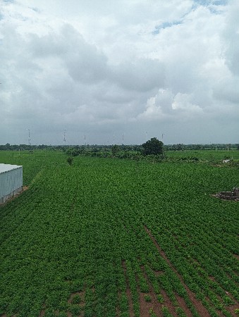 ગિરનાર 4