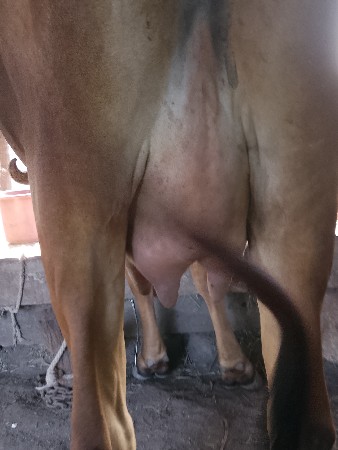 थंबनेल 6