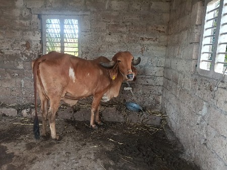 થંબનેલ 3