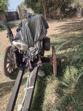 મશીન