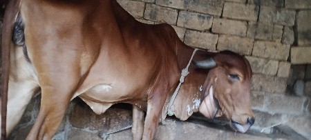 थंबनेल 3