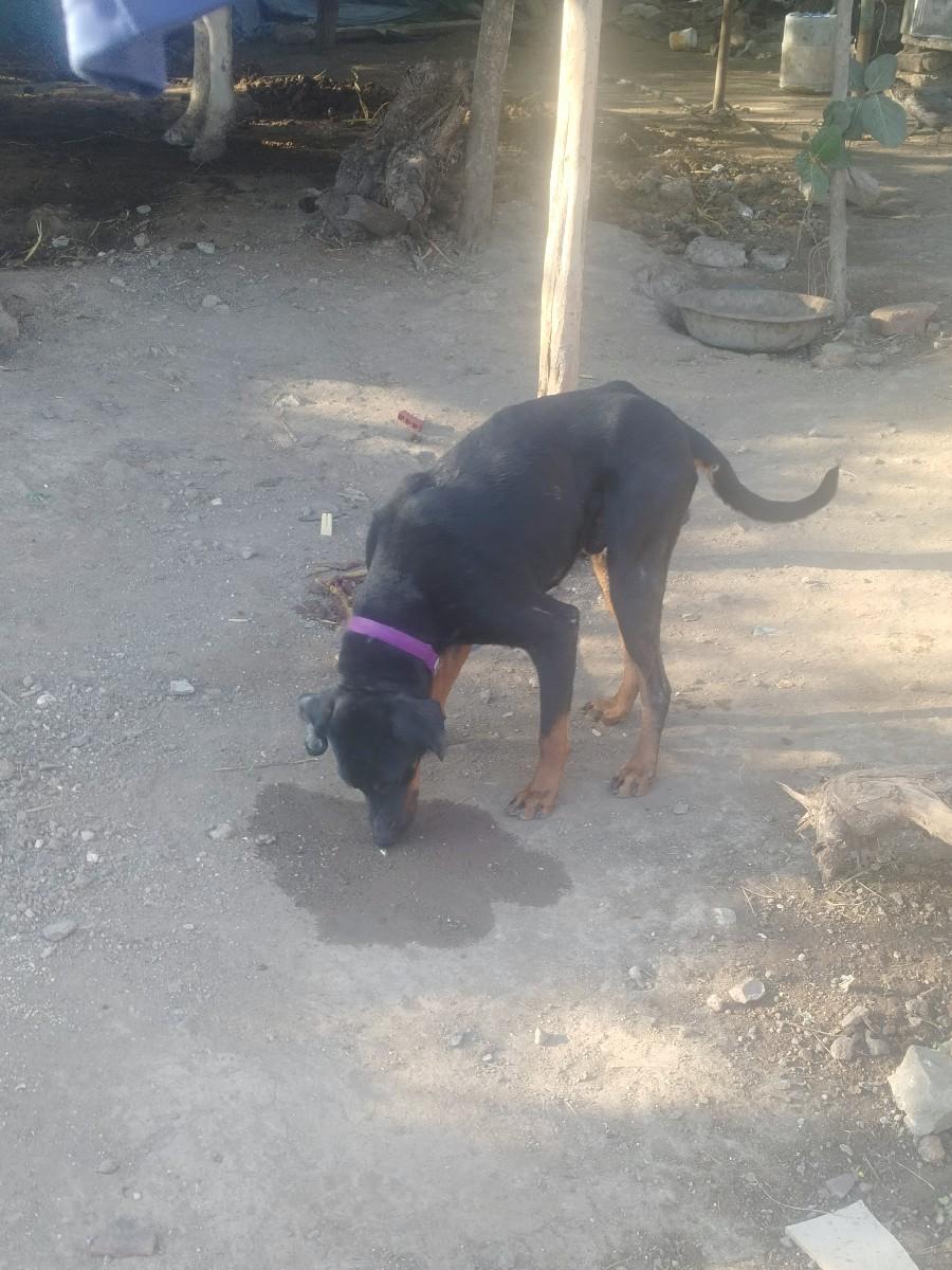 थंबनेल 3