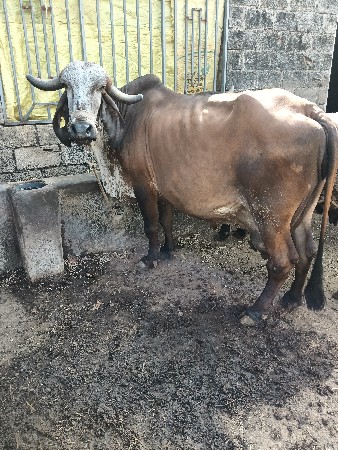 थंबनेल 2