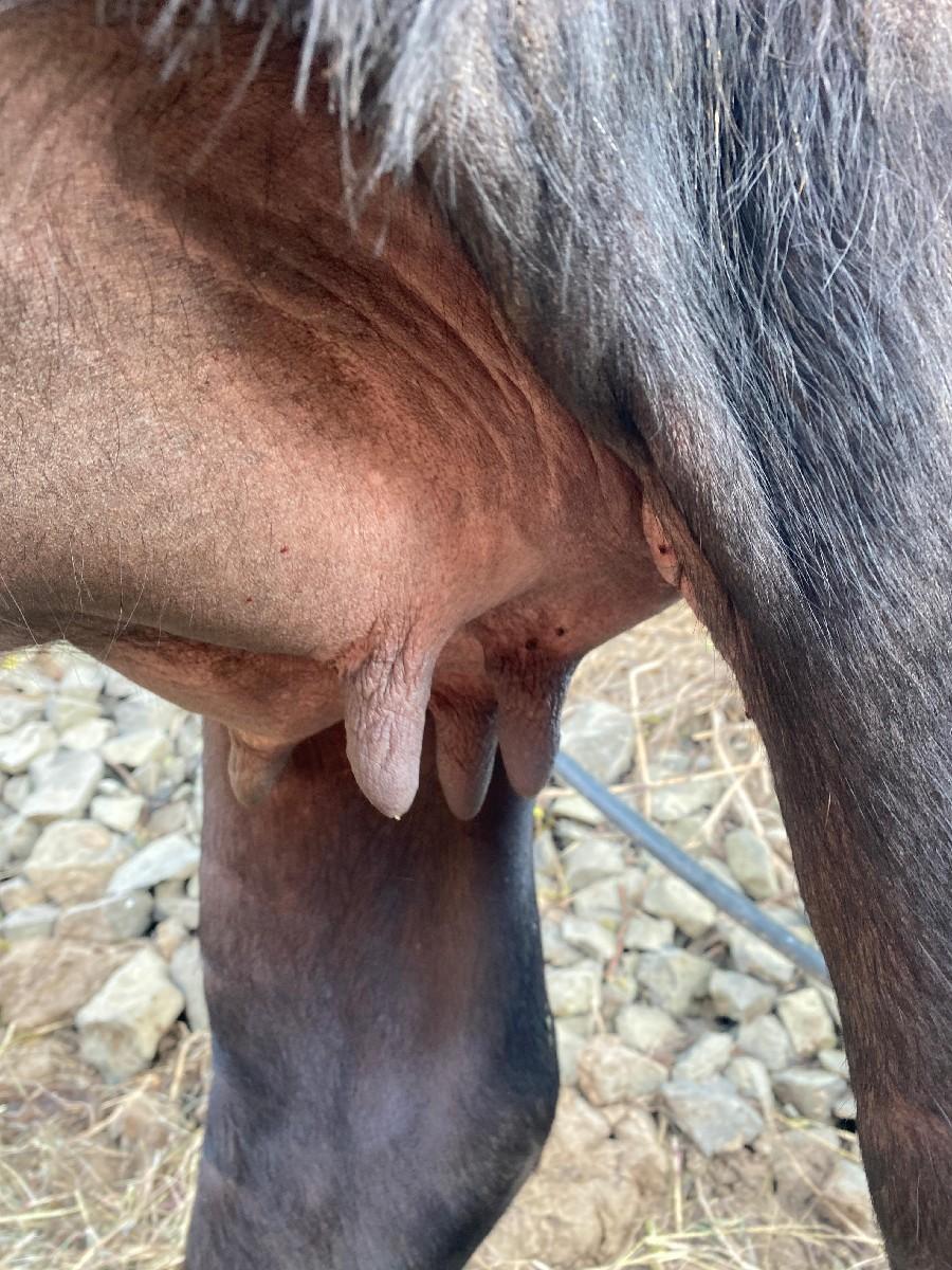 थंबनेल 1