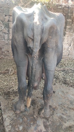 થંબનેલ 2