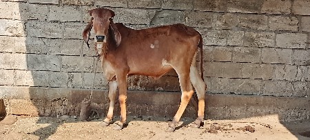 थंबनेल 3