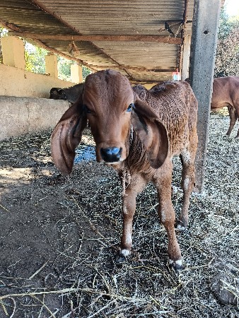 થંબનેલ 3