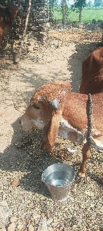 થંબનેલ 3