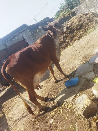 थंबनेल 3