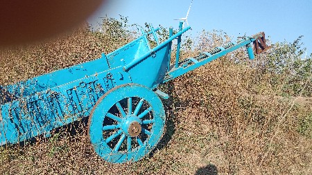 સાવ કપલીટ છે