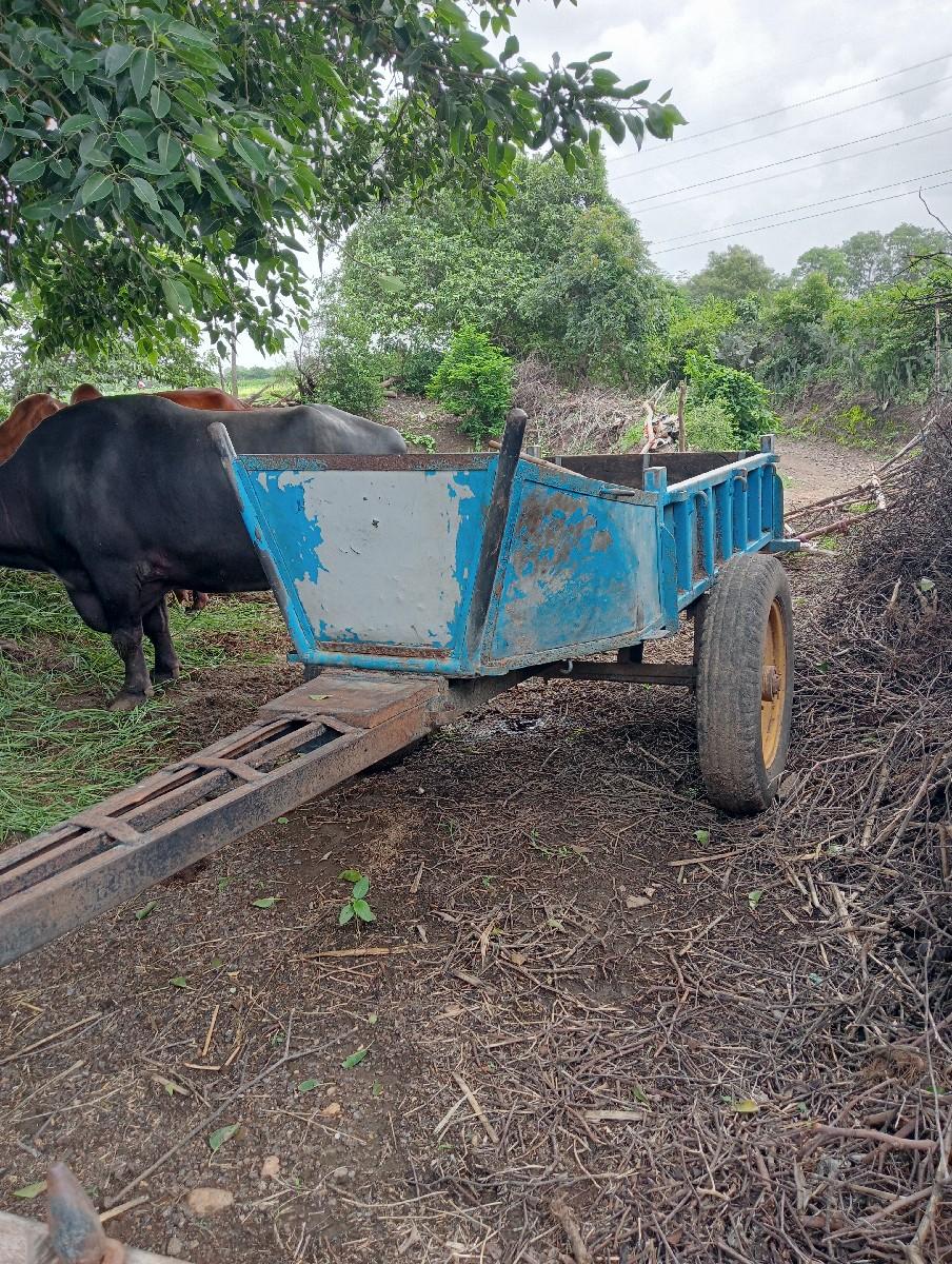 થંબનેલ 2