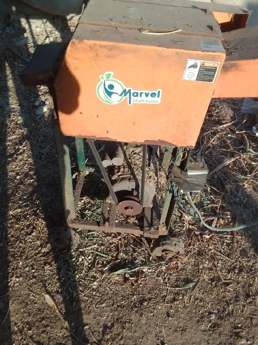 થંબનેલ 3