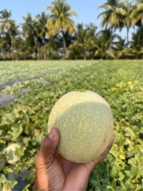 થંબનેલ 3