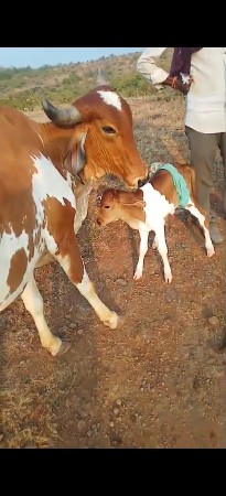 थंबनेल 3