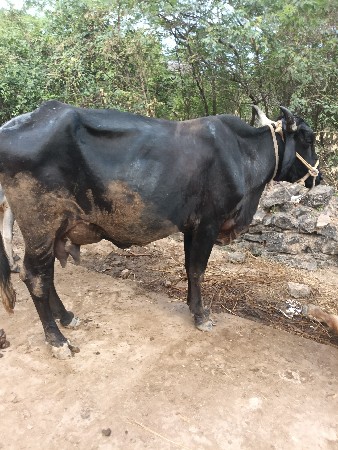 थंबनेल 2