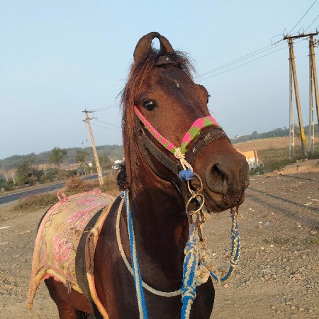 થંબનેલ 2