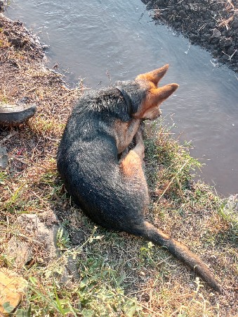 थंबनेल 2