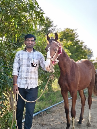 થંબનેલ 2