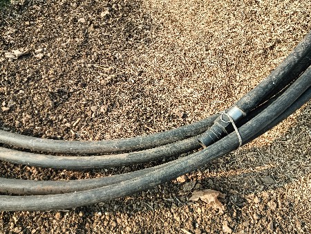 boa.no.bambo.vasavano.c