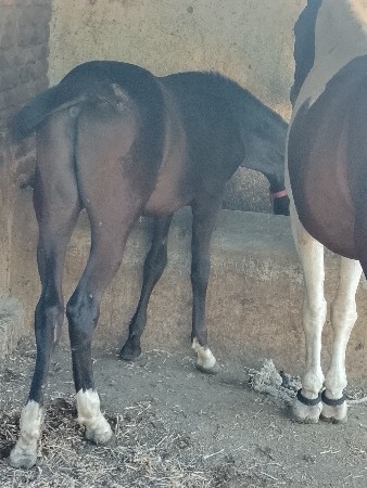 થંબનેલ 4