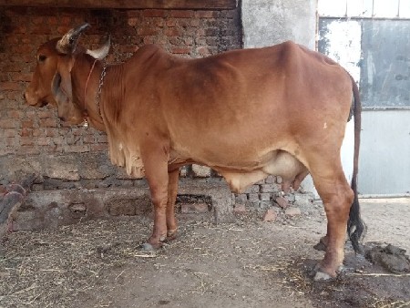 थंबनेल 3