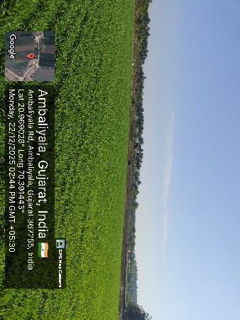 જમીન વેચવાની છે