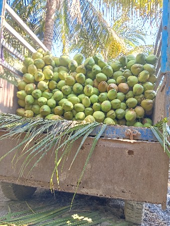 थंबनेल 1